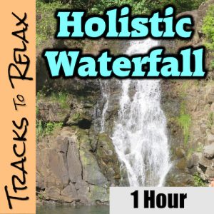 Holistic Waterfall