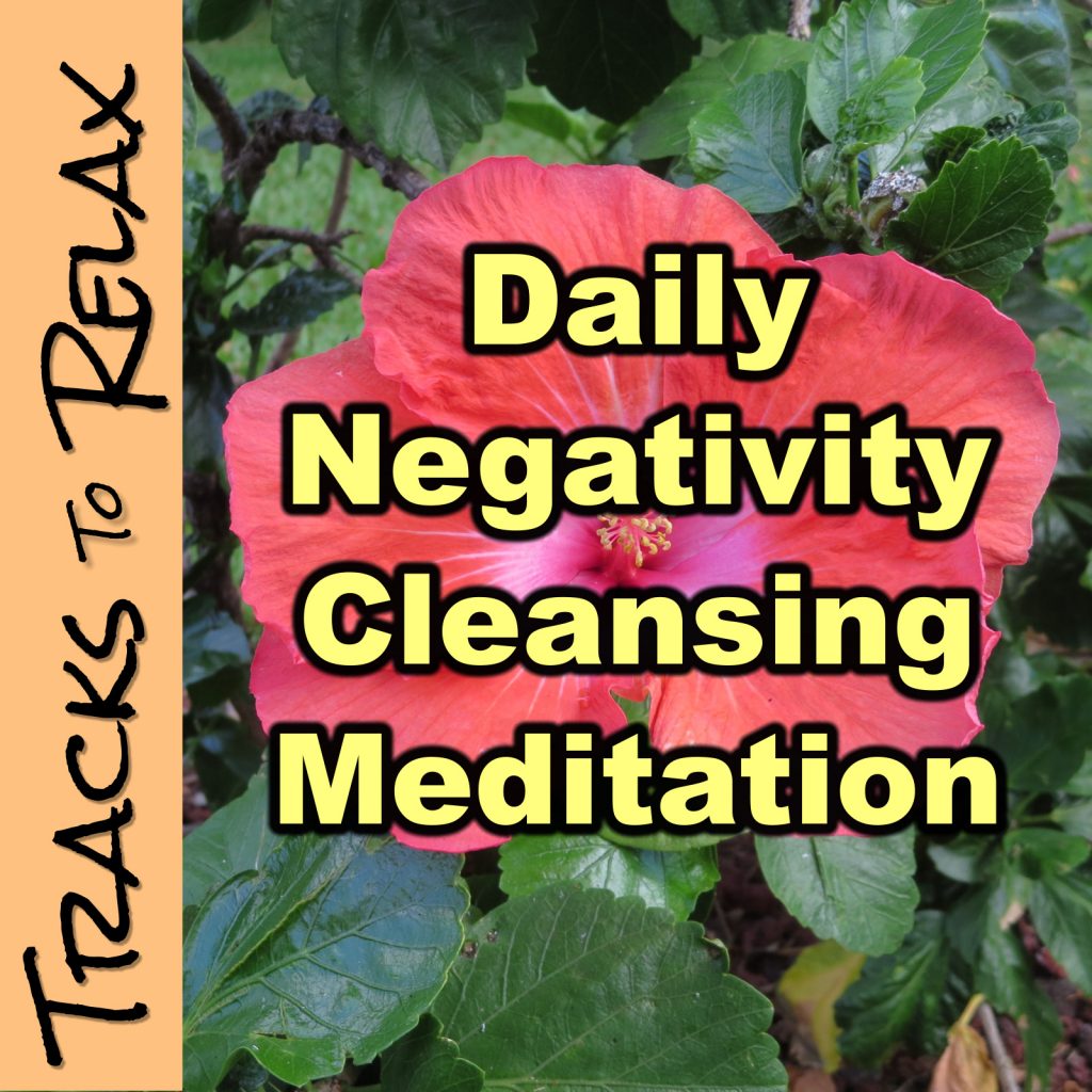 daily negativity cleanse